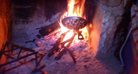 Others 2 Kucuk Ciftlik Bungalow Evleri