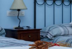 Others 5 Las Olivitas