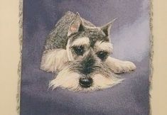 Others 5 Impression Classics B&B