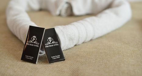 기타 2 Prusias Otel