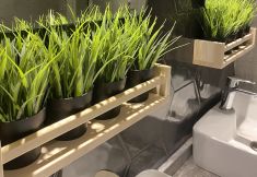 Khác 4 Royal City Hotel