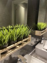 Khác 4 Royal City Hotel