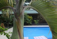 Others 6 Tropic Hôtel