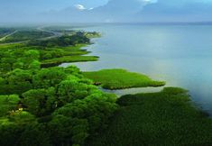 其他 5 Snow Hill House Apart Otel