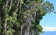 Khác 5 Centro Ecoturistico ToninaKayab