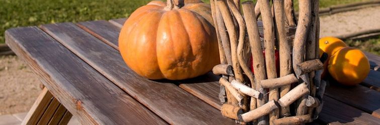 其他 Entre Vinhas & Mar