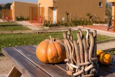 Others Entre Vinhas & Mar