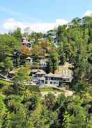 Primary image Forest Canopy