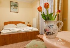 Others 7 Willa u Anusia Jacuzzi & Sauna