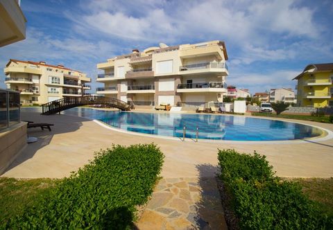 その他 Odyssey Park C6