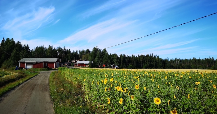 Others Maatilamatkailu Ilomäki