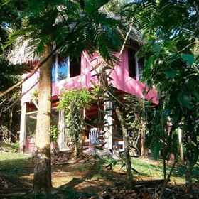 Primary image1Vanilla Jungle Lodge - Bed & Breakfast,埃雷迪亚省飯店