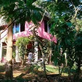 Primary image 1 Vanilla Jungle Lodge - Bed & Breakfast, Hotel Wilayah Heredia