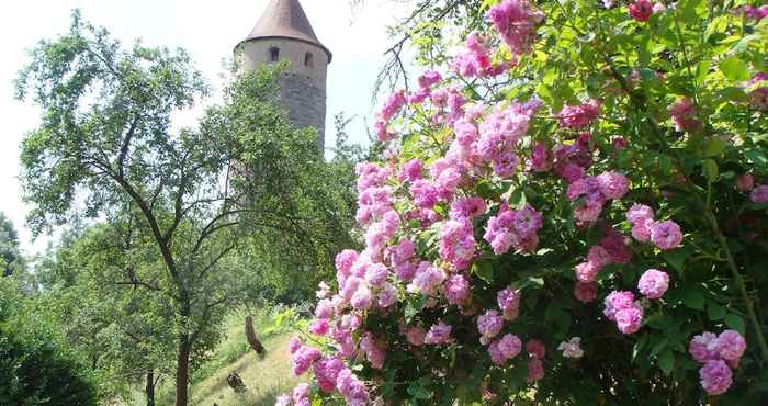 Lain-lain Weingut Gästehaus Weigand