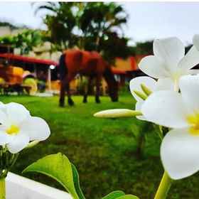 Imej utama 1 Pousada Garanhuns, 가라냥스 호텔