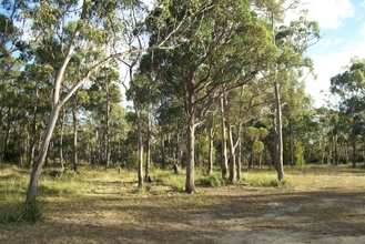 Lain-lain 4 Hobart Bush Cabins