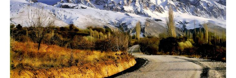 其他 Taurus Guest House