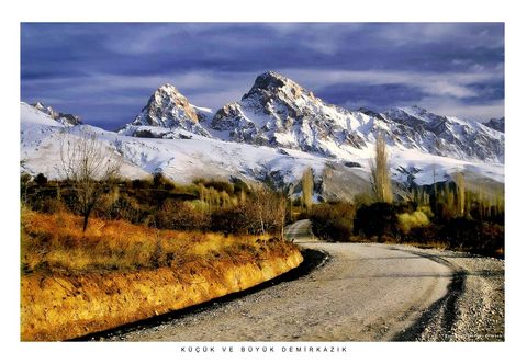 其他 Taurus Guest House