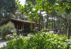 Others 2 Camping Campo dei Fiori