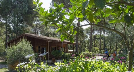 Others 2 Camping Campo dei Fiori