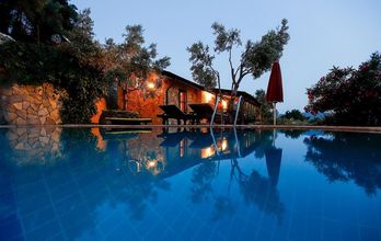 其他 4 Terra Punto