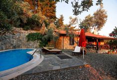 其他 3 Terra Punto