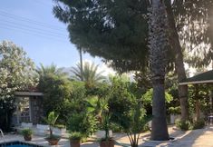 其他 3 Dort Mevsim Evi