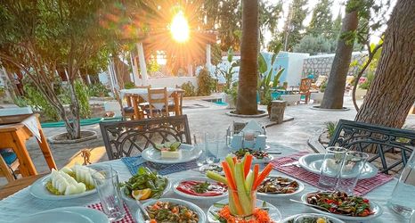 其他 2 Dort Mevsim Evi