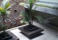 Lainnya 2 Holanda's Prime - Praia de Tambaú