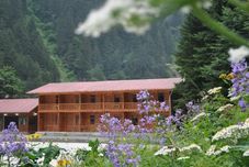 Lain-lain Uzungol Bungalow House