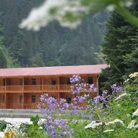 Primary image 1 Uzungol Bungalow House, Yeṣilyurt kafe Hotels