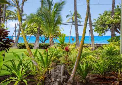 Lainnya Oceanfront Remodeled Studio Condo