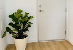 Others 2 Modern Roosevelt Urban Studio