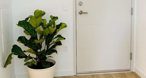 Lainnya 2 Modern Roosevelt Urban Studio