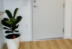 Others 2 Well Appointed Roosevelt Studio