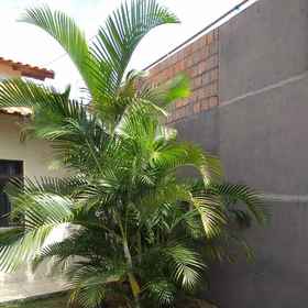 Primary image1Casa Branca,隆德里纳历史博物馆飯店