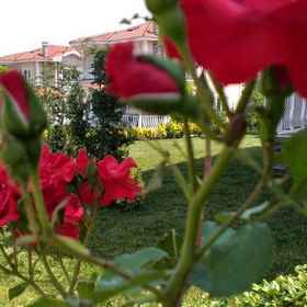 Primary image 1 Palace Kirkpinar, Khách sạn Merkez