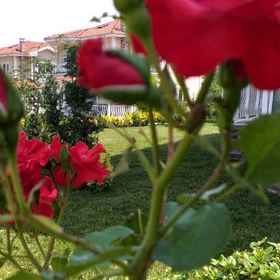 Primary image 1 Palace Kirkpinar, Khách sạn Merkez