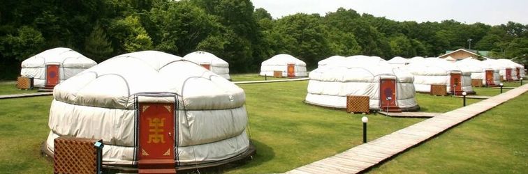 기타 Mongolia Village Tenger