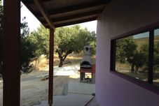 其他 Alex's Studio