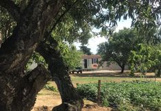 其他 2 Tiny Casa - Mobile House