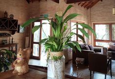 その他 7 Pousada Bucaneve