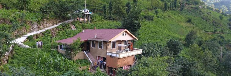 Others Yeşil Doğa Bungalov