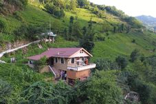 Others Yeşil Doğa Bungalov