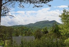 其他 6 Sugar Shack - One Bedroom Cabin