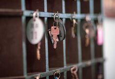 Others 3 Hotel Burlamacco