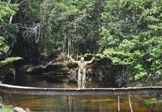 Others 7 Pousada Aldeia Mari-Mari Amazon Lodge