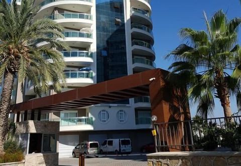 기타 Crown City D67