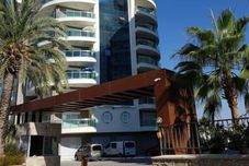 기타 Crown City D67