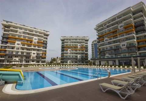 Others Olive Garden Siberland D27